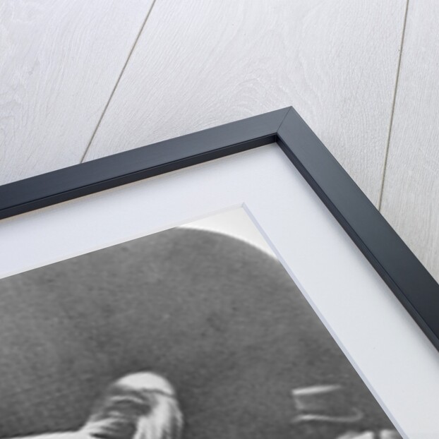 Jumping over three horses...chestnut horse Hornet by Eadweard Muybridge