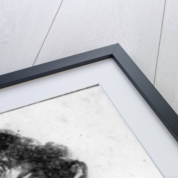 Self-portrait as a young man, c.1628 by Rembrandt Harmensz. van Rijn