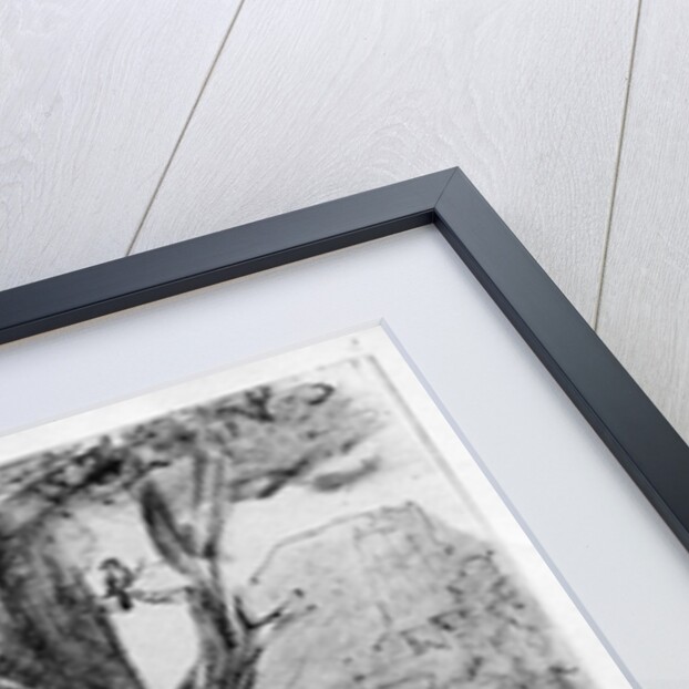 Four orientals seated under a tree, c.1659 by Rembrandt Harmensz. van Rijn