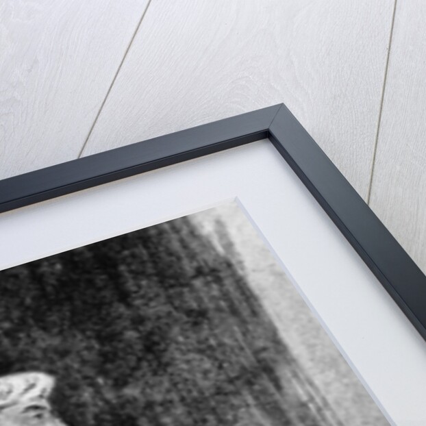 A Mughal Nobleman, c.1659 by Rembrandt Harmensz. van Rijn