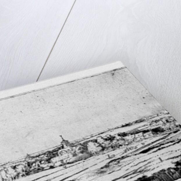 The Goldweigher's Field near Haarlem, 1651 by Rembrandt Harmensz. van Rijn