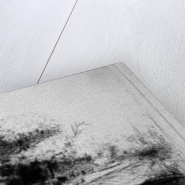 Landscape with country lane and cottages, etched by Benjamin Wilson, 1751 by Rembrandt Harmensz. van Rijn (after)