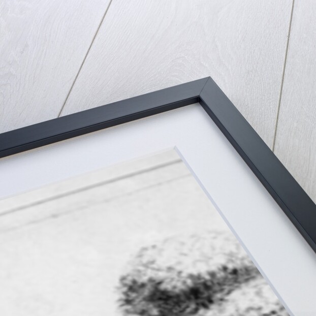 Landscape with country lane and cottages, etched by Benjamin Wilson, 1751 by Rembrandt Harmensz. van Rijn (after)