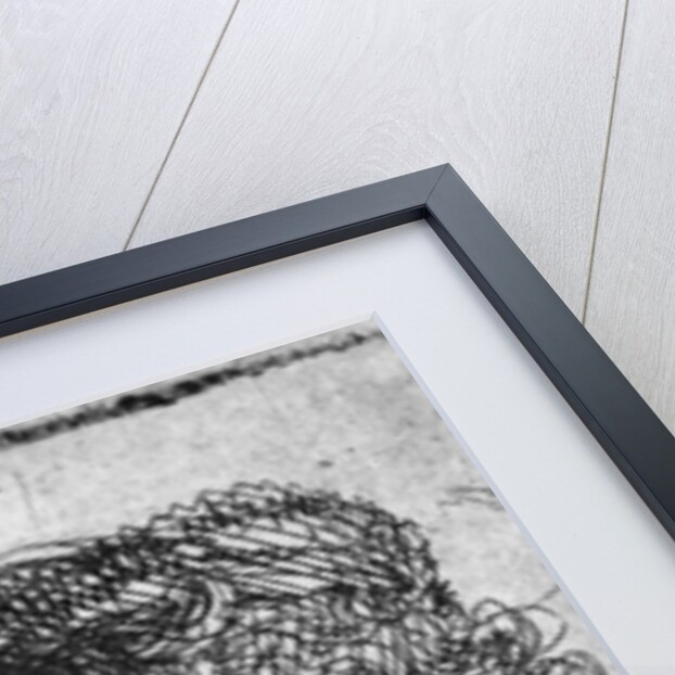 Self-portrait, 1630 by Rembrandt Harmensz. van Rijn