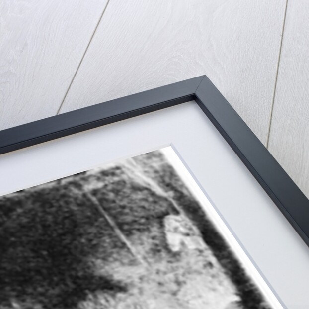 The Adoration of the Shepherds, c.1652 by Rembrandt Harmensz. van Rijn