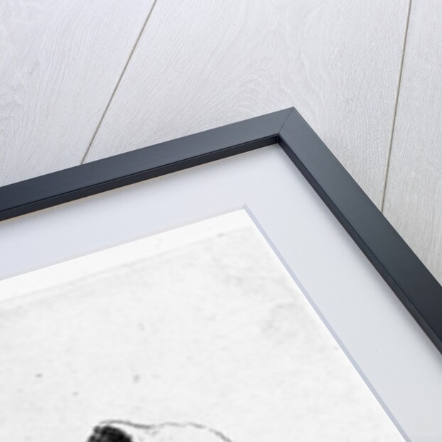 Woman urinating under a tree, 1631 by Rembrandt Harmensz. van Rijn