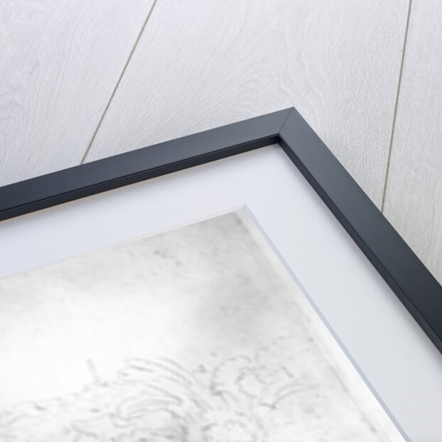 The Baptism of the Eunuch, 1641 by Rembrandt Harmensz. van Rijn