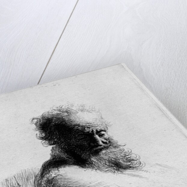 Head of an old man, 1631 by Rembrandt Harmensz. van Rijn