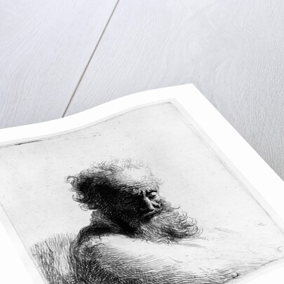 Head of an old man, 1631 by Rembrandt Harmensz. van Rijn