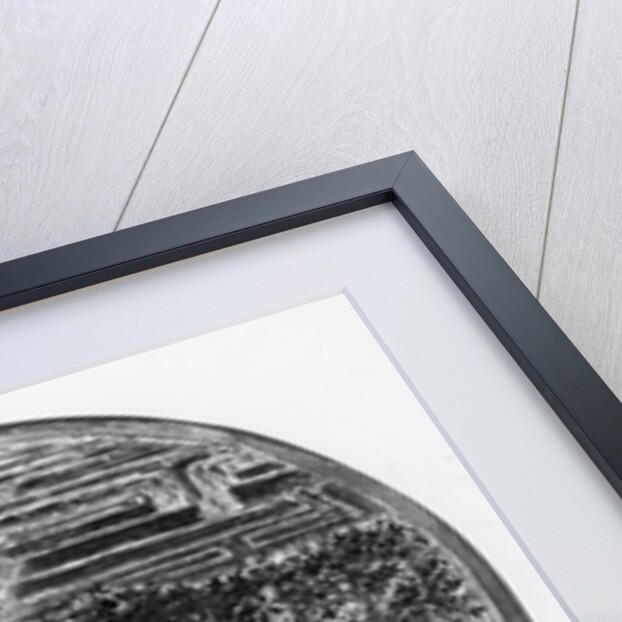 Love in a Tangle by Edward Coley Burne-Jones