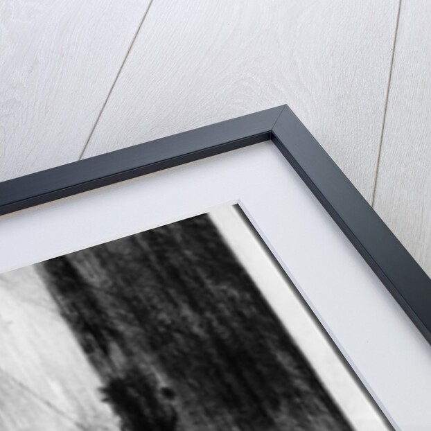 The Three Crosses by Rembrandt Harmensz. van Rijn