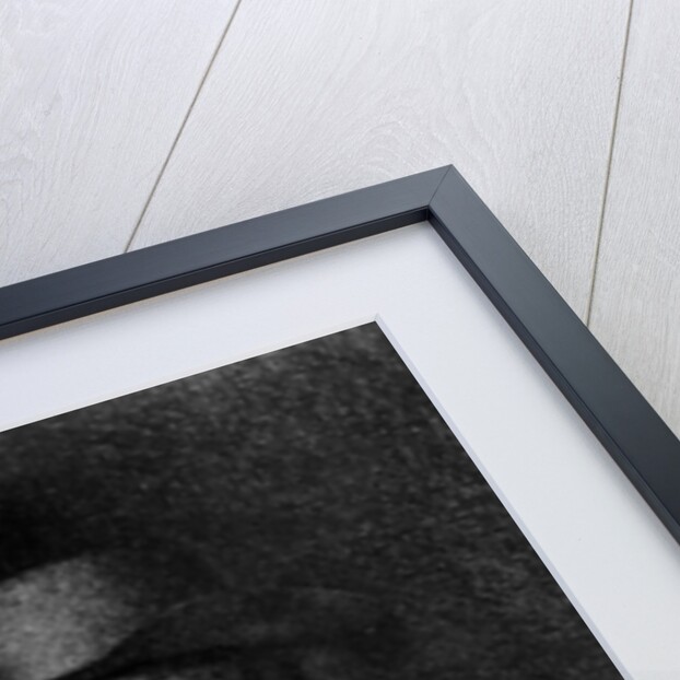 Self portrait while drawing, 1648 by Rembrandt Harmensz. van Rijn