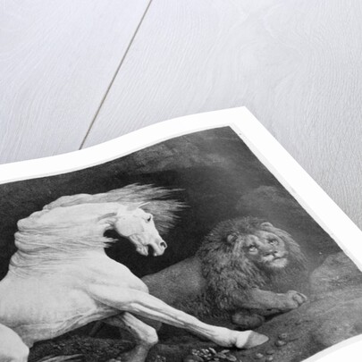 A Horse Affrighted by a Lion, engraved by the artist, 1788 by George Stubbs