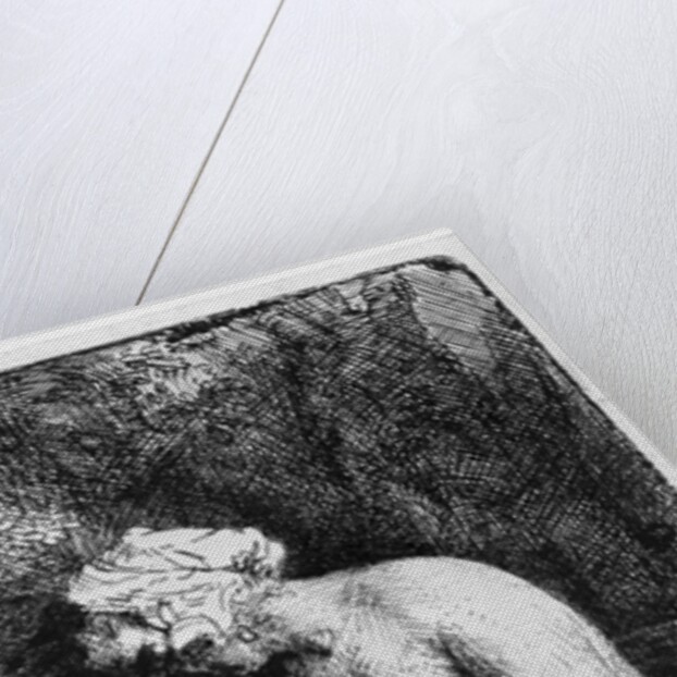 Woman bathing, 1658 by Rembrandt Harmensz. van Rijn