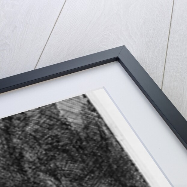 Woman bathing, 1658 by Rembrandt Harmensz. van Rijn