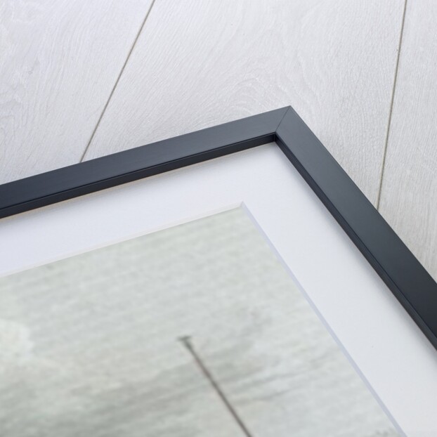 Basilica di San Marco, Venice by Giovanni Pividor