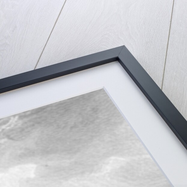 The Grand Canal, Venice by Charles Bentley