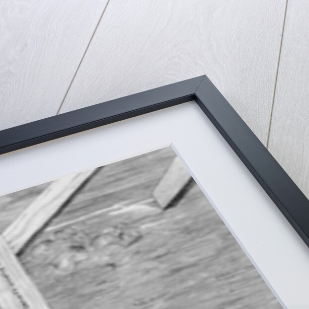 Pieta by Michelangelo Buonarroti