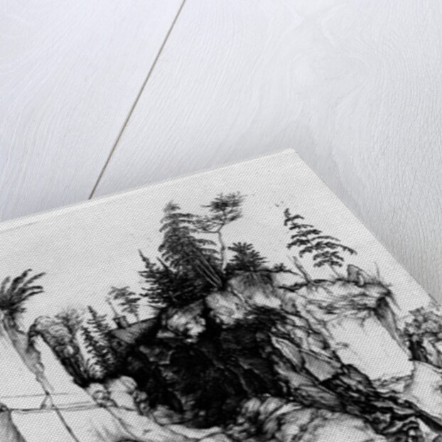 St. Jerome in the Wilderness, c.1496 by Albrecht Dürer or Duerer