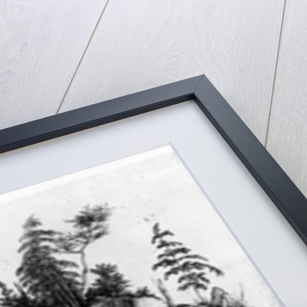 St. Jerome in the Wilderness, c.1496 by Albrecht Dürer or Duerer