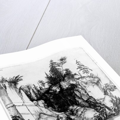 St. Jerome in the Wilderness, c.1496 by Albrecht Dürer or Duerer