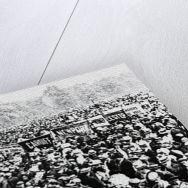 The Great Votes for Women Demonstration in Hyde Park, Sunday, June 12th 1908 by English Photographer