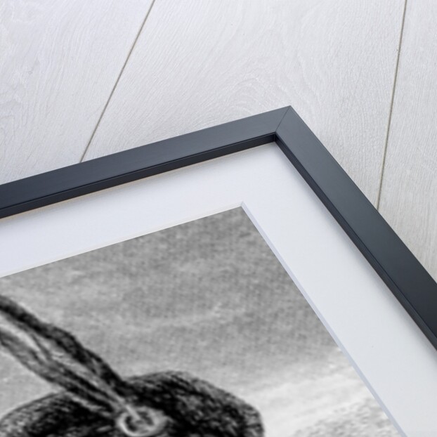 Rob Roy Parting Duellists Rashleigh and Francis Osbaldistone by James Blake McDonald