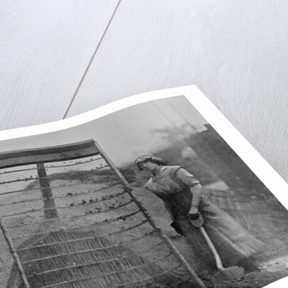 Riddling Cinders, War Office photographs, 1916 by English Photographer