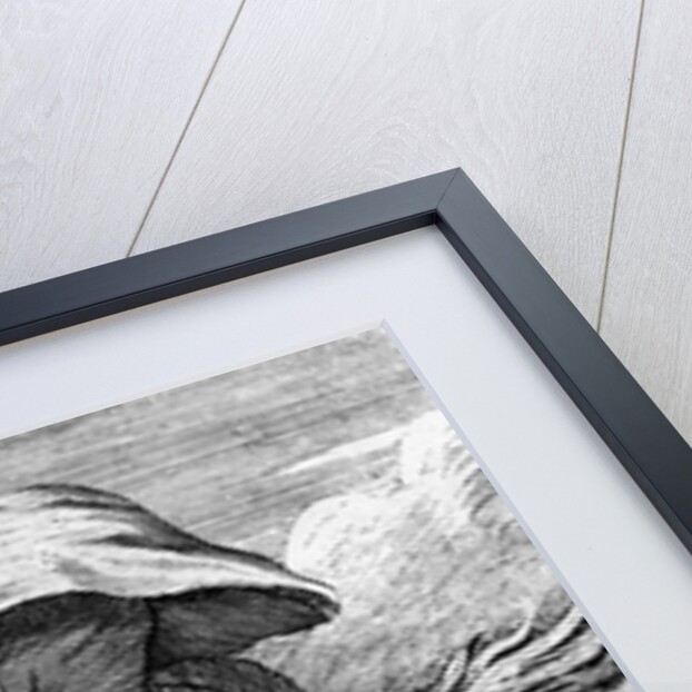 E. Canning vindicated, or Gypsies Flight to Enfield Wash, 1753 by English School