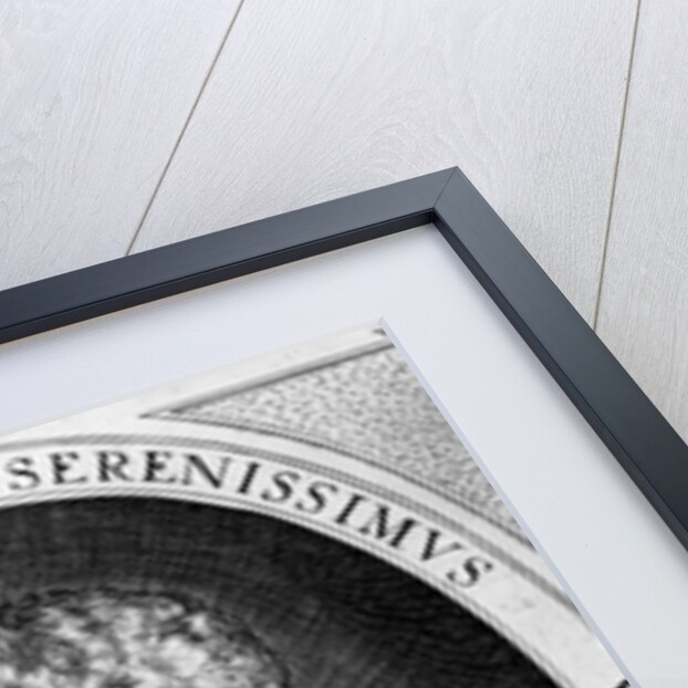 Vincenzo Gonzaga, Duke of Mantua, 1597 by Dominicus or Custodis Custos