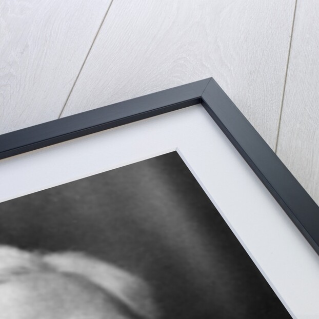 Bertrand Russell by English Photographer