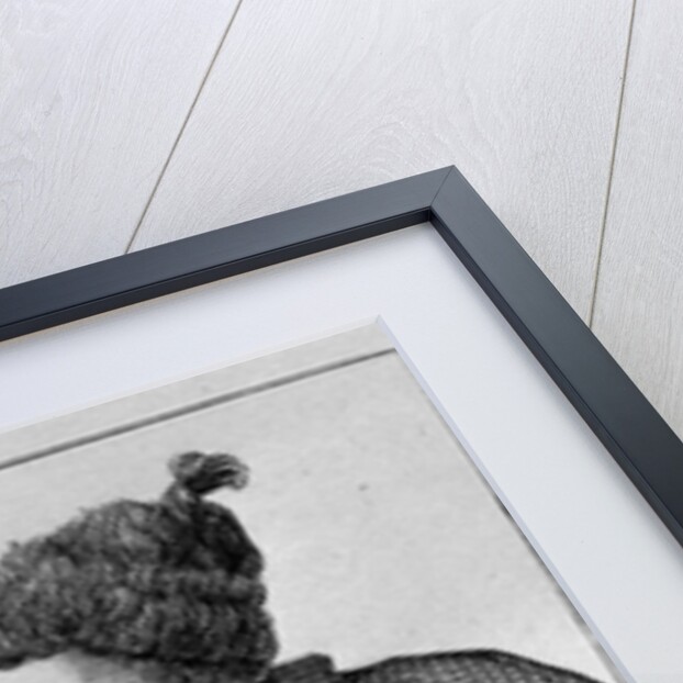 Robert Powell, The Fire Eater by English School