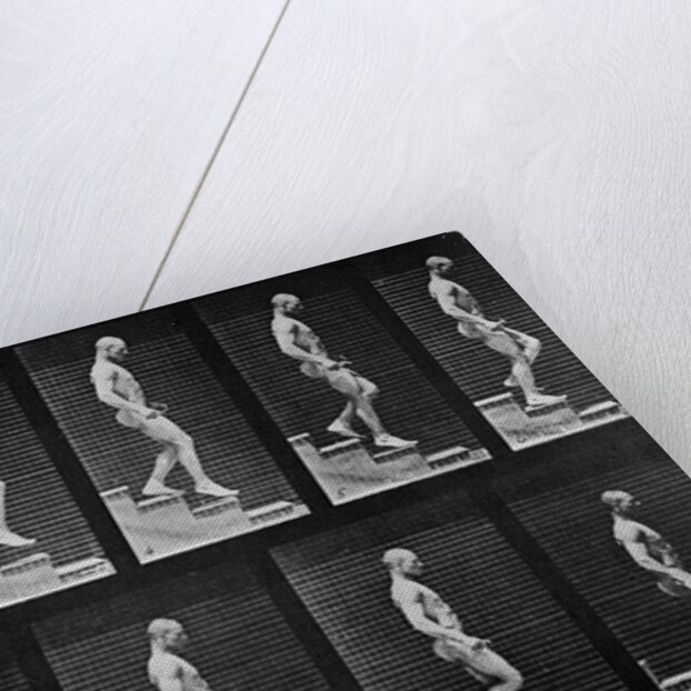 Man descending stairs by Eadweard Muybridge