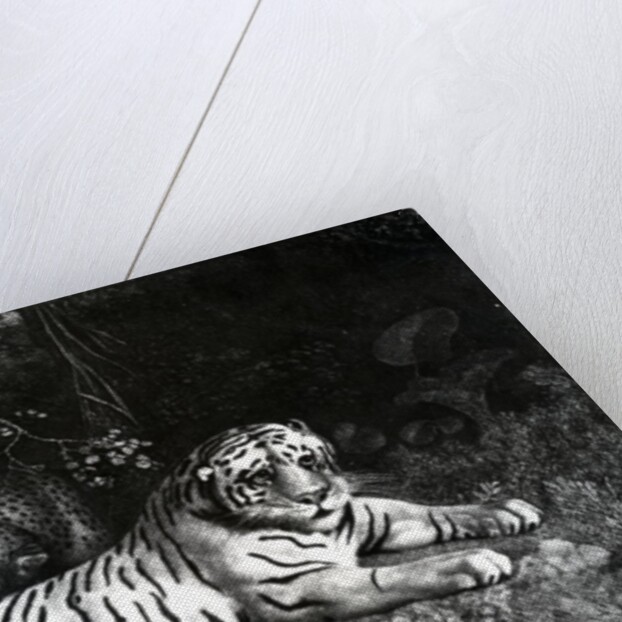 Two Tigers, 1788 by George Stubbs