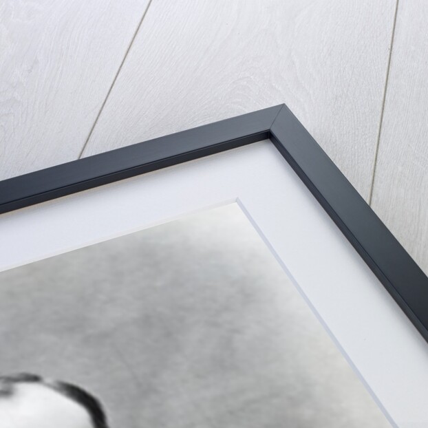 Albert Chevalier by English Photographer