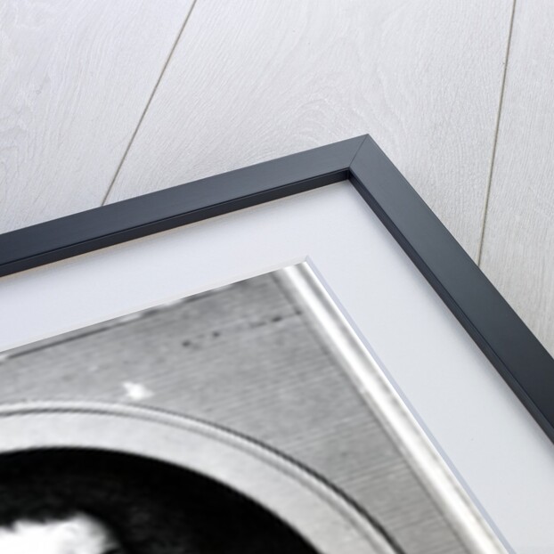 Thomas Clifford, 1st Baron Clifford of Chudleigh, engraved by Edward Scriven, 1820 by Samuel (after) Cooper