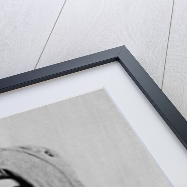 Frank Hurley, c.1914 by English Photographer