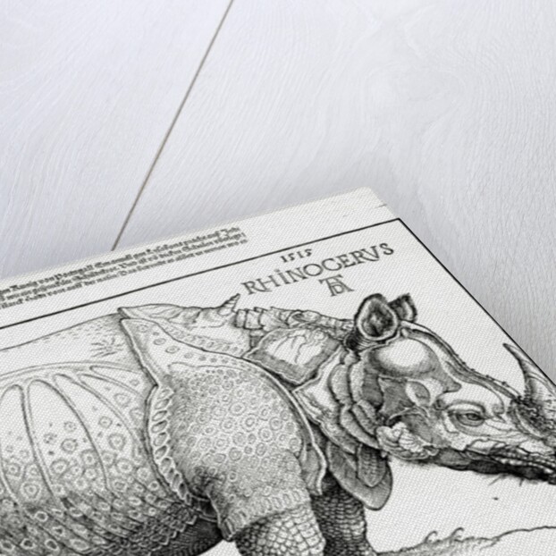 The Rhinoceros, 1515 by Albrecht Dürer or Duerer