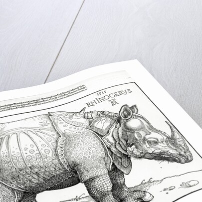 The Rhinoceros, 1515 by Albrecht Dürer or Duerer