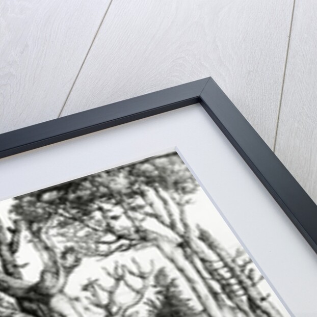 St. Eustace, 1501 by Albrecht Dürer or Duerer