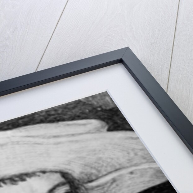 Portrait of an unknown man, 1525 by Albrecht Dürer or Duerer