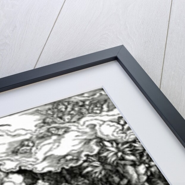 The Flight into Egypt by Albrecht Dürer or Duerer