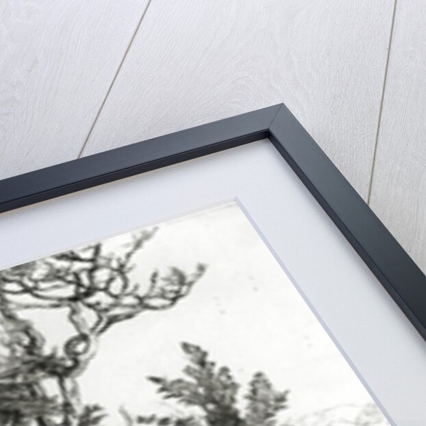 Hercules at the crossroad, 1498 by Albrecht Dürer or Duerer