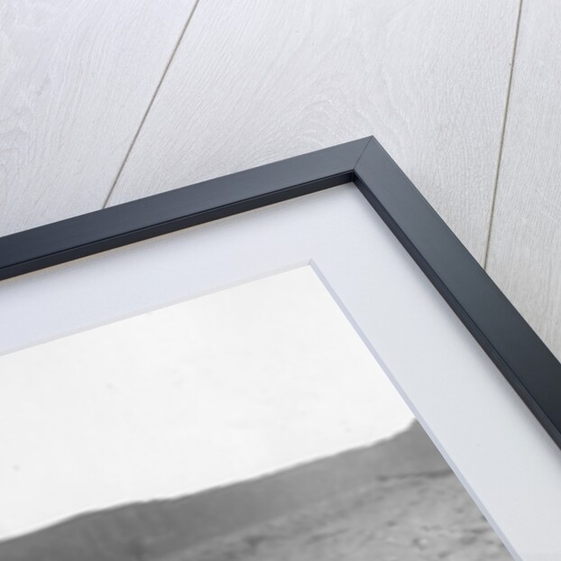 The River Thames during 'The Great Freeze' of 1895 by English Photographer