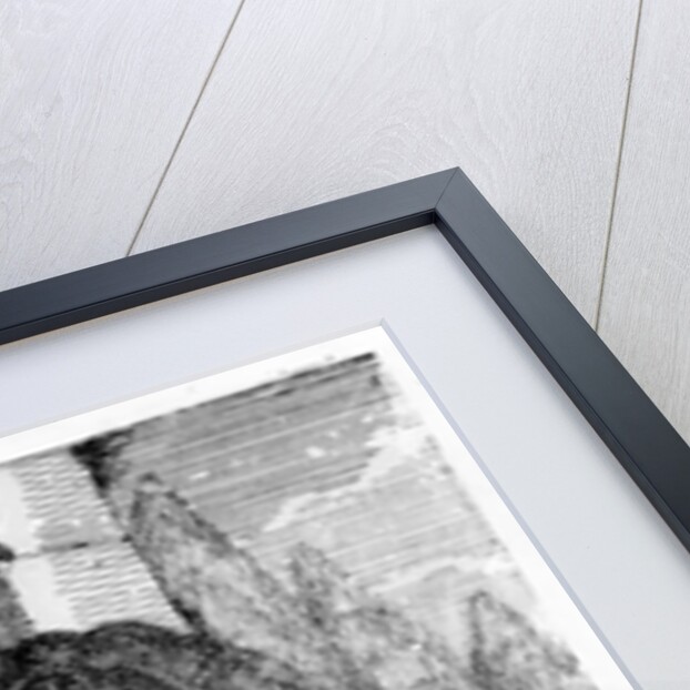 Johann Wilhelm Haas by German School