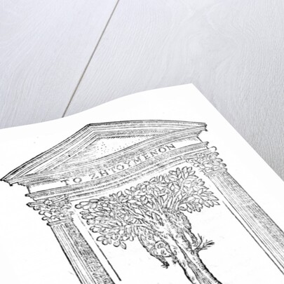 Illustration from 'La Italia Liberata Da' Goti' by Gian Giorgio Trissino published in 1548 by Italian School