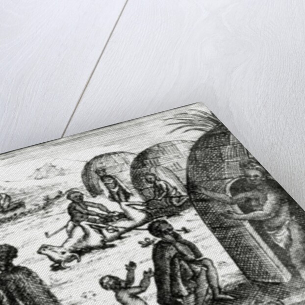 The Hottentots adore a certain insect by English School