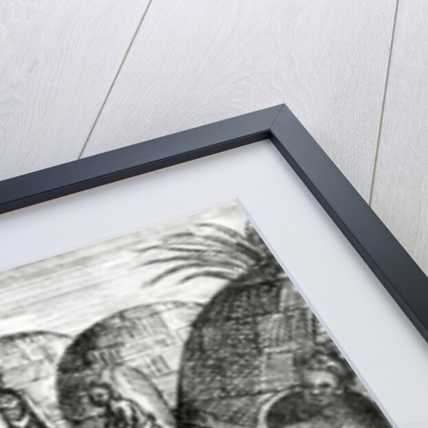 The Hottentots adore a certain insect by English School