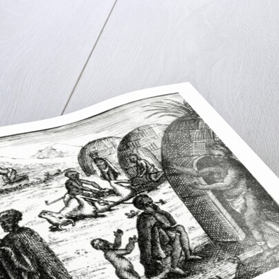 The Hottentots adore a certain insect by English School