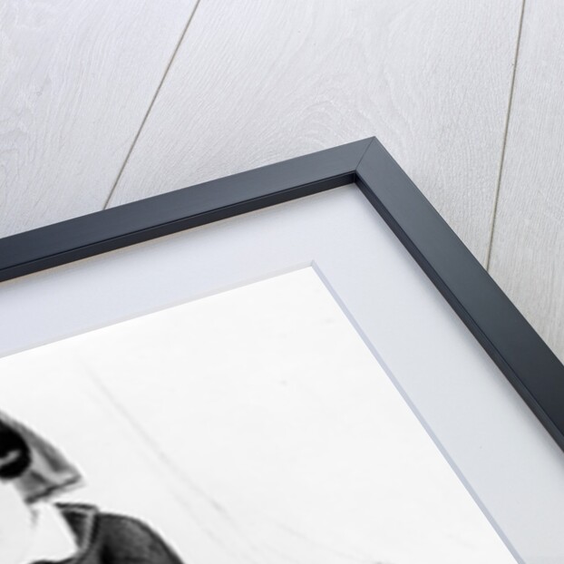 The Viscountess Wear'em, c.1880-1900 by English School